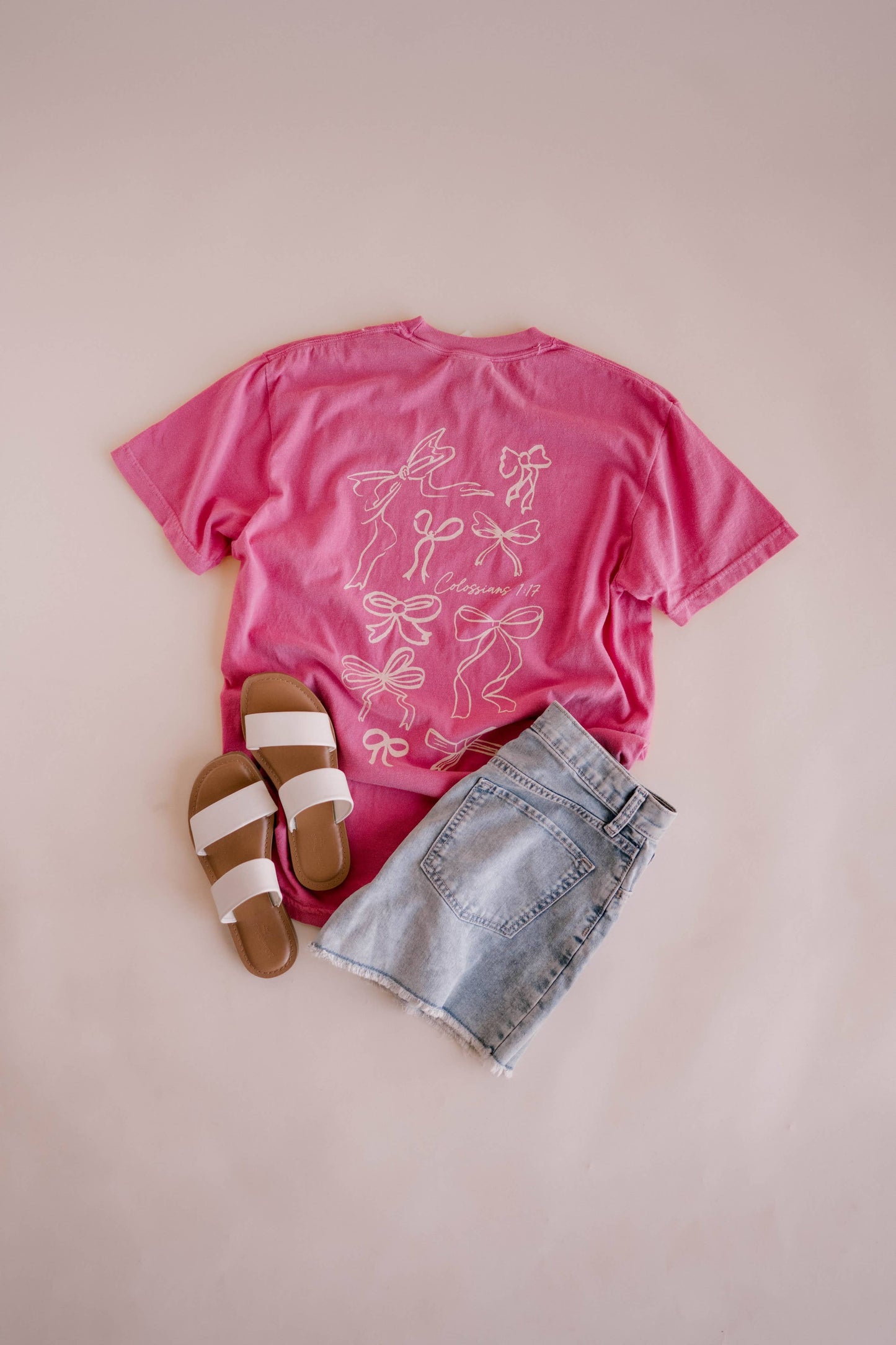 He Holds All Together Tee - Pink