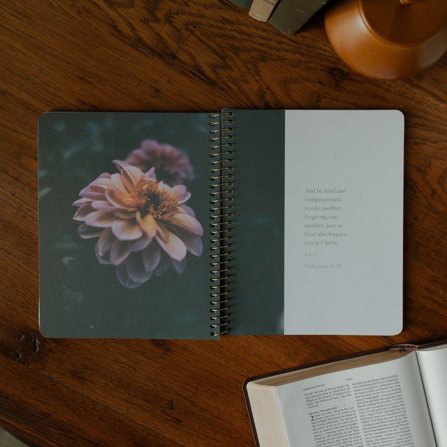 Chosen Spiral Bible Study