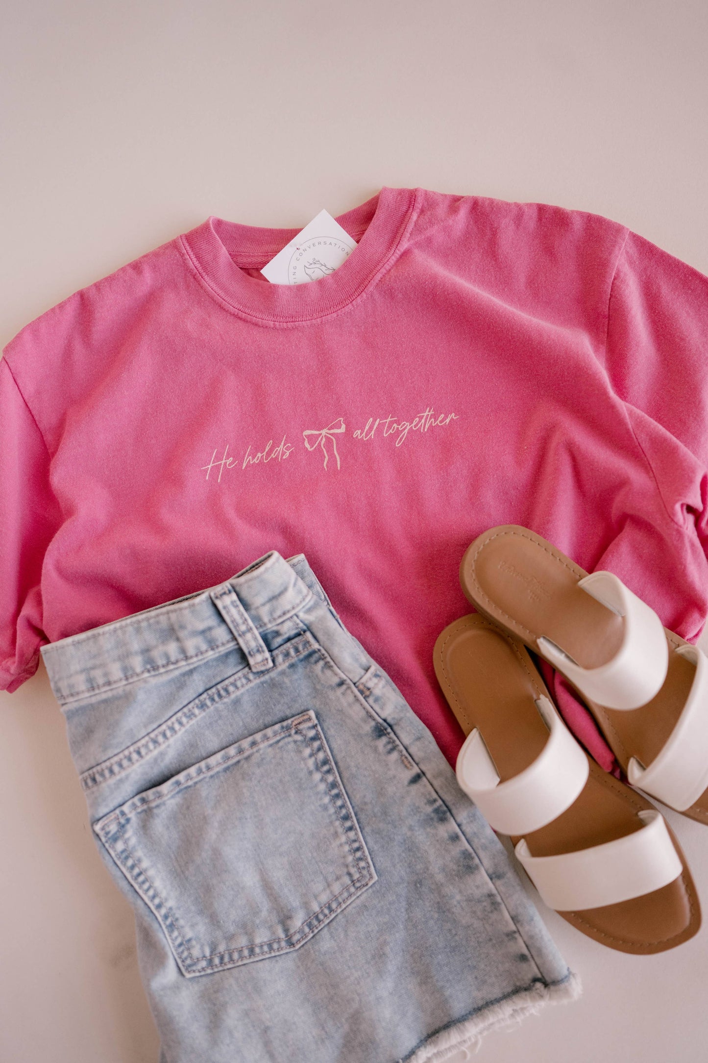 He Holds All Together Tee - Pink