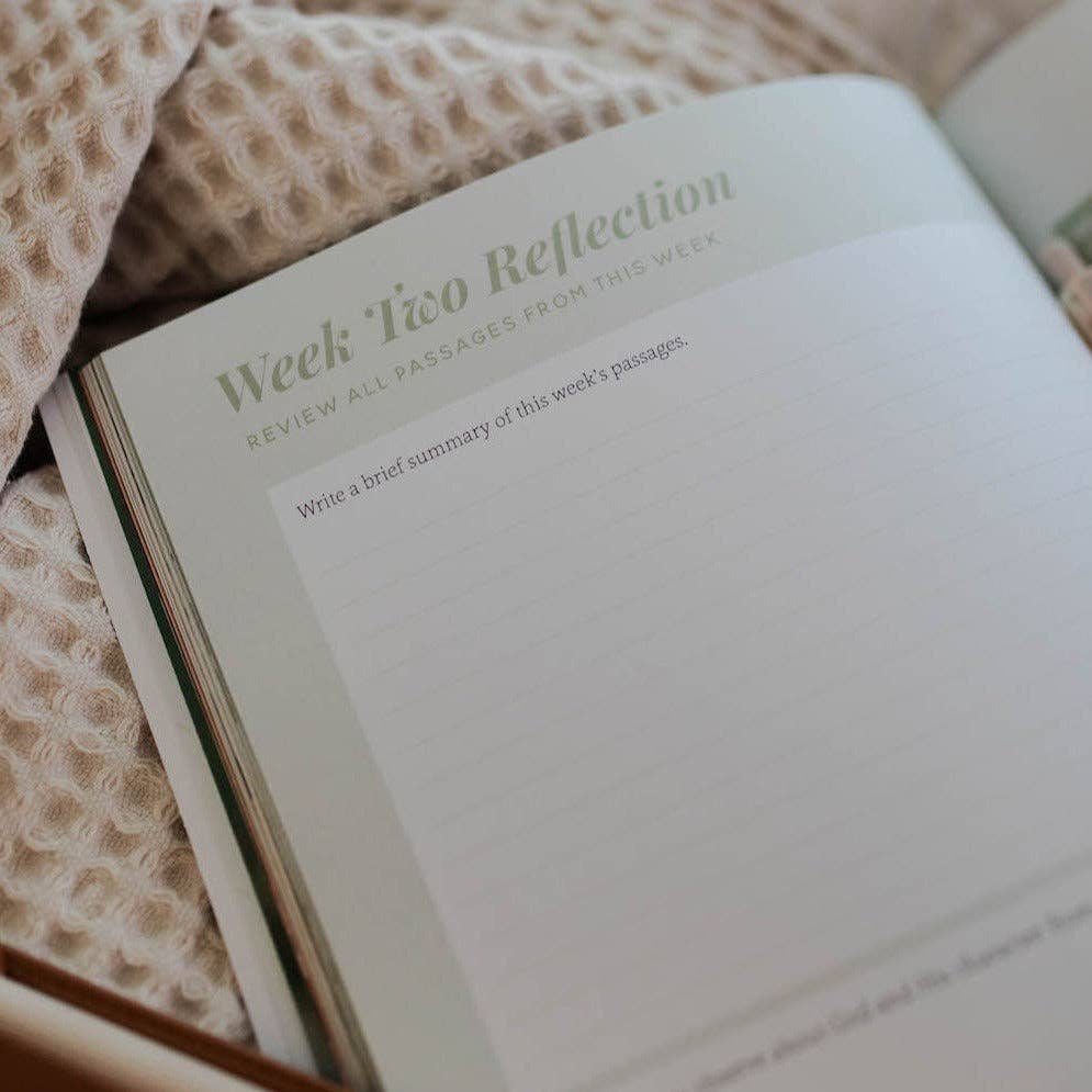 Emotions and the Heart Bible Study