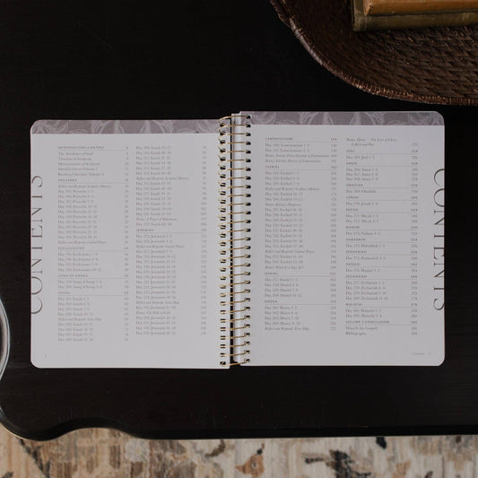 A Year in the Bible | Volume 3 Bible Study