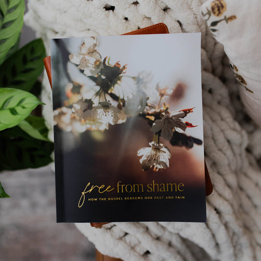 Free From Shame Bible Study
